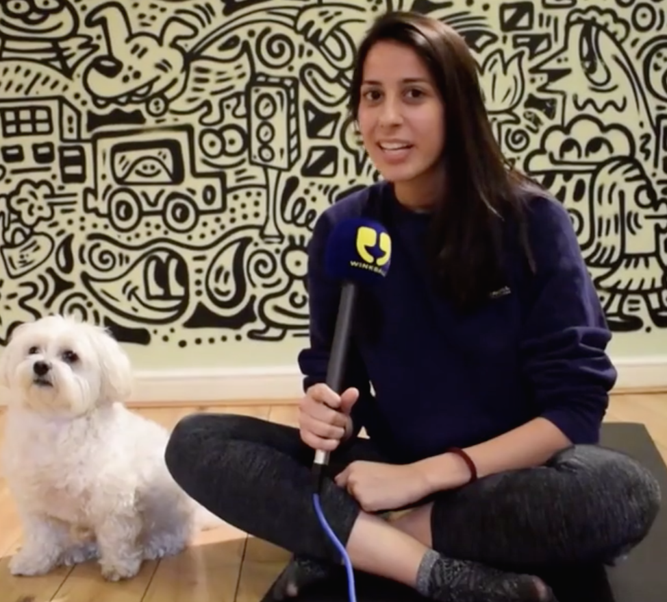 A WinkBall reporter siting with a dog